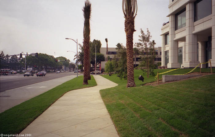 Santa Monica - Los Angeles
