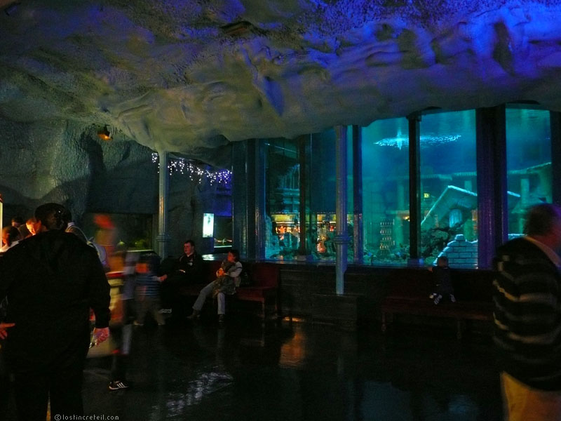 Tower World Aquarium, Blackpool