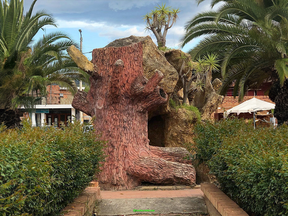 Tree, Boyaca, Colombia.