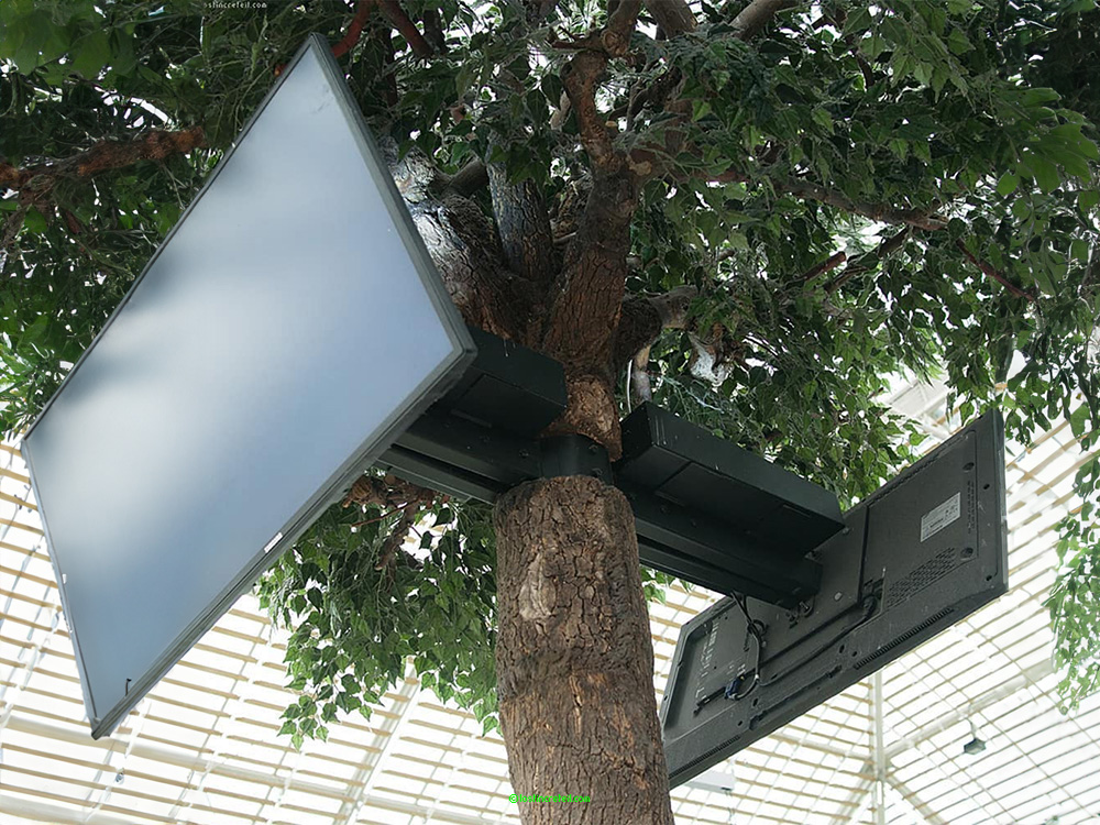 Connected trees, Gare de Lyon, Paris
