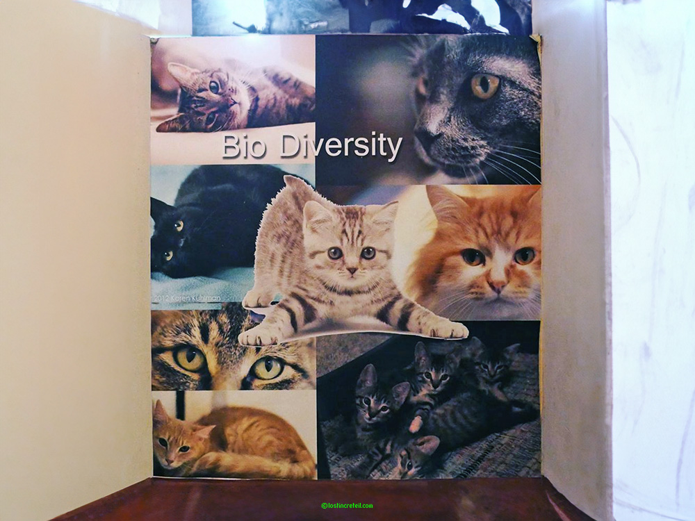 Bio-diversity