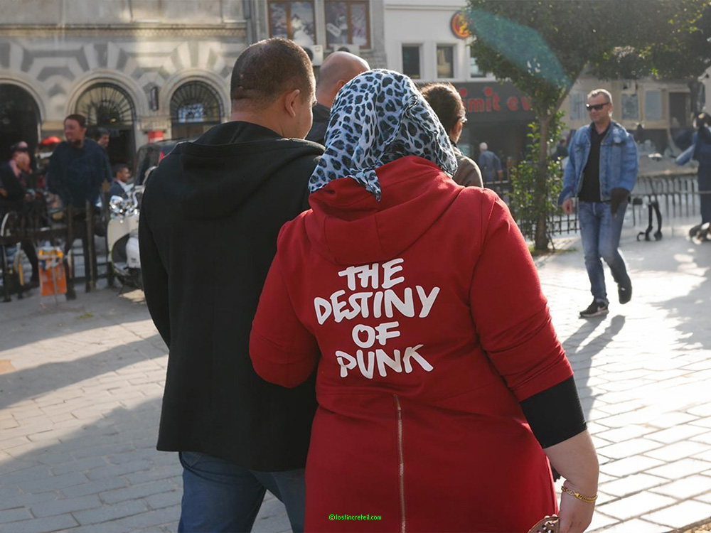 The Destiny of Punk