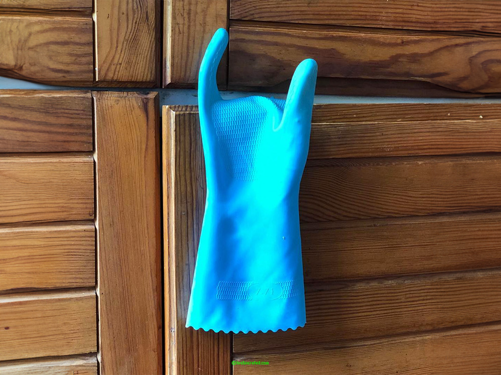 Glove