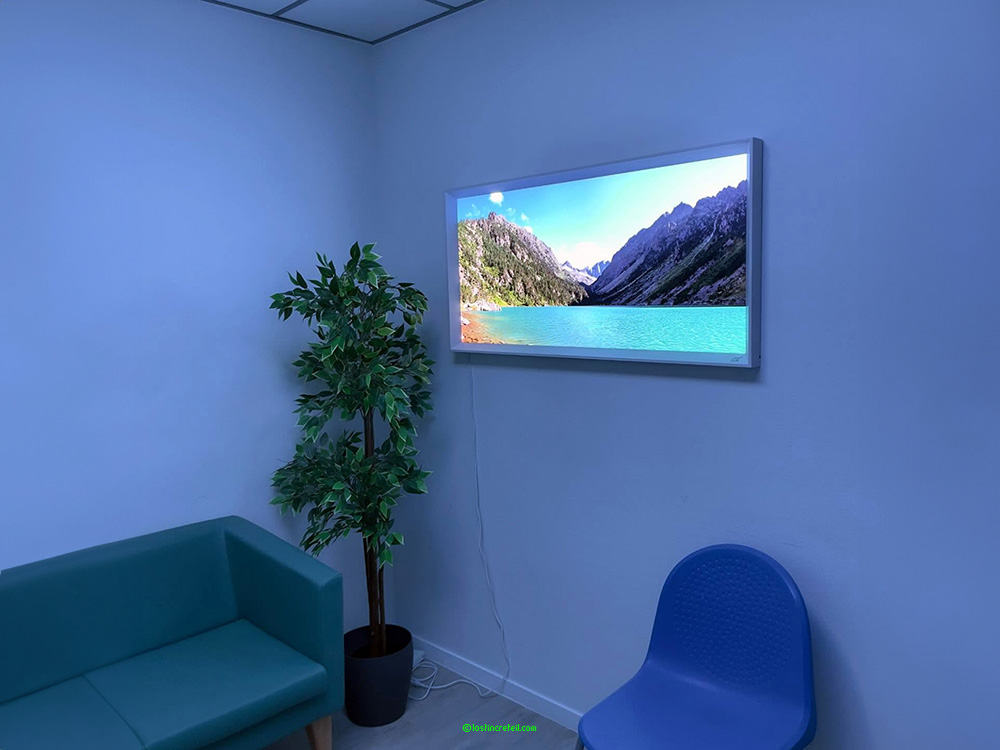Landscape, Necker hospital, Paris