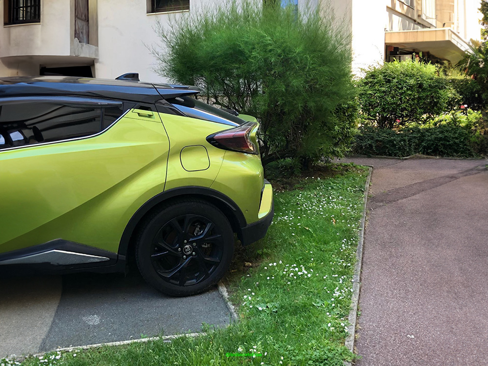 Sharp green