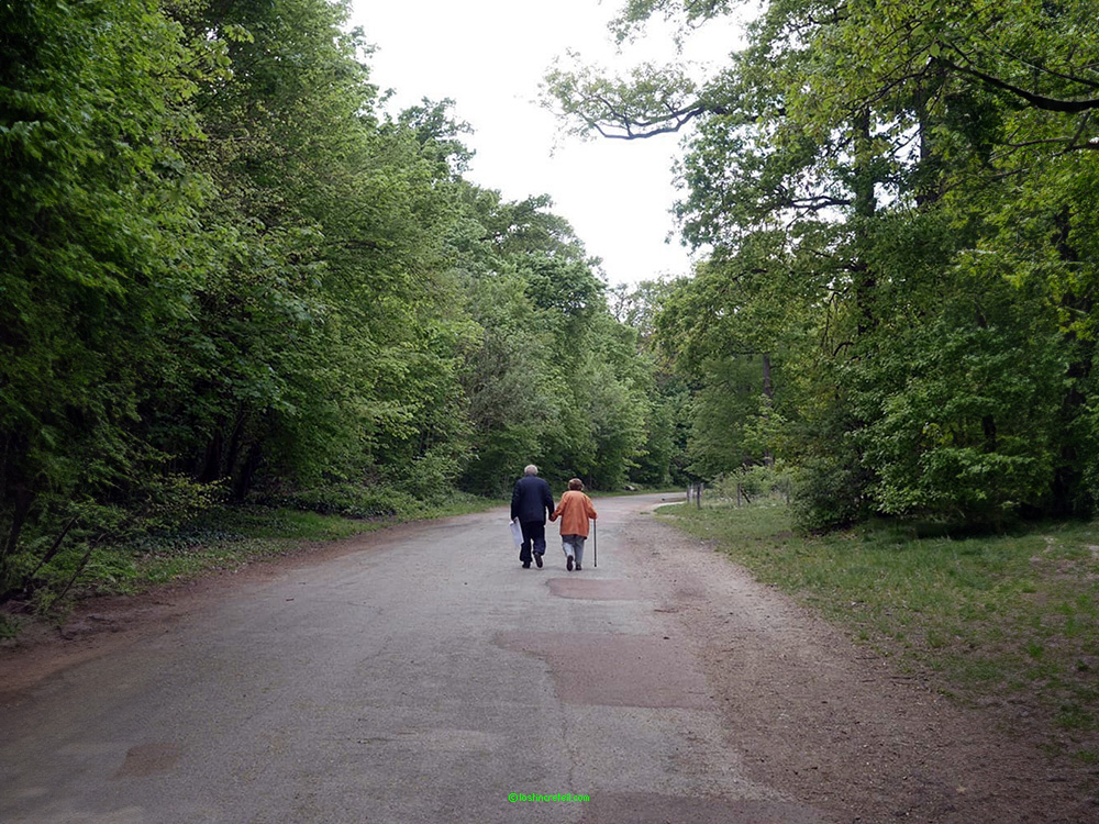 Utopia, Forest of Vincennes, Paris