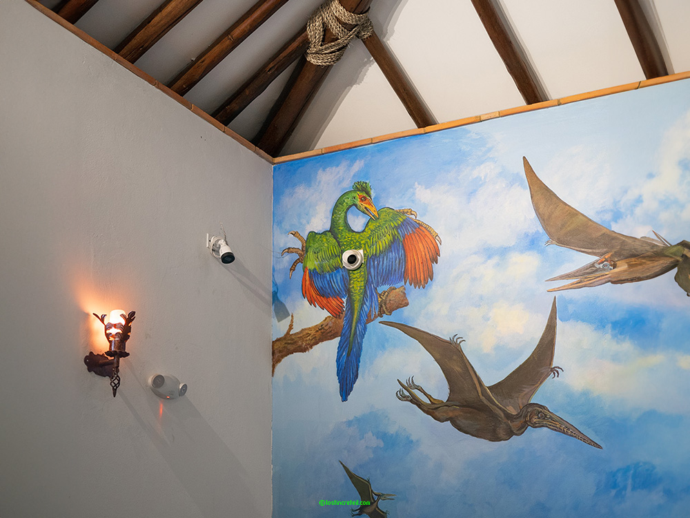 Cameras and prehistorical birds, Boyaca, Colombia