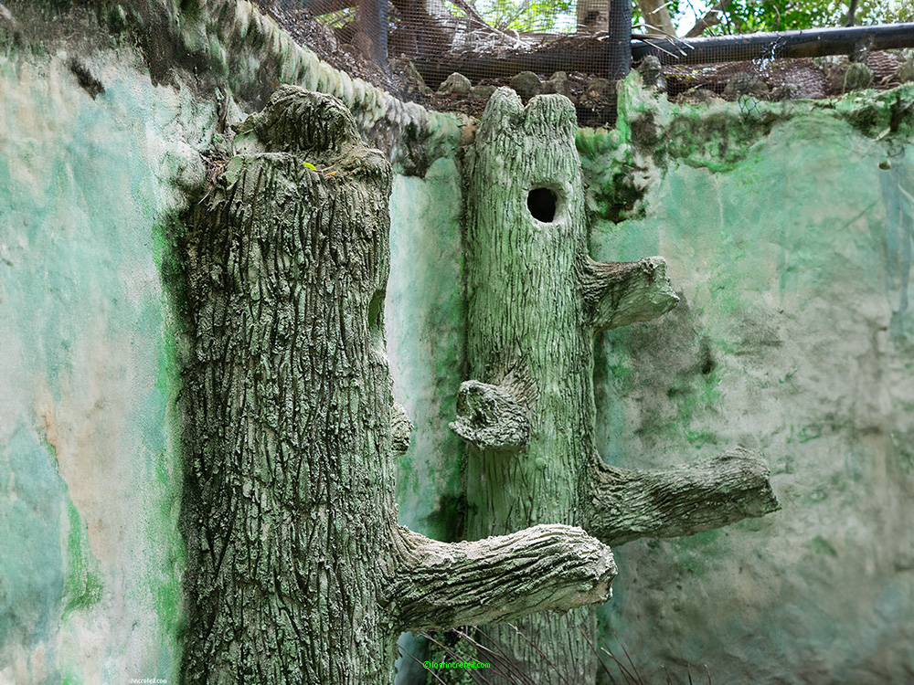 Isla Grande, Colombia
