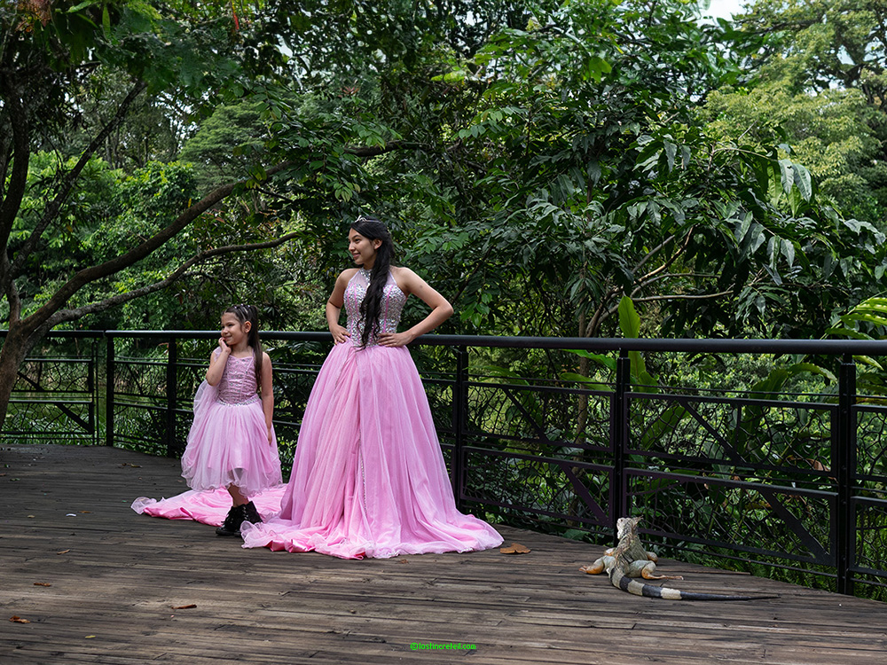 Botanical garden, Medellin, Colombia