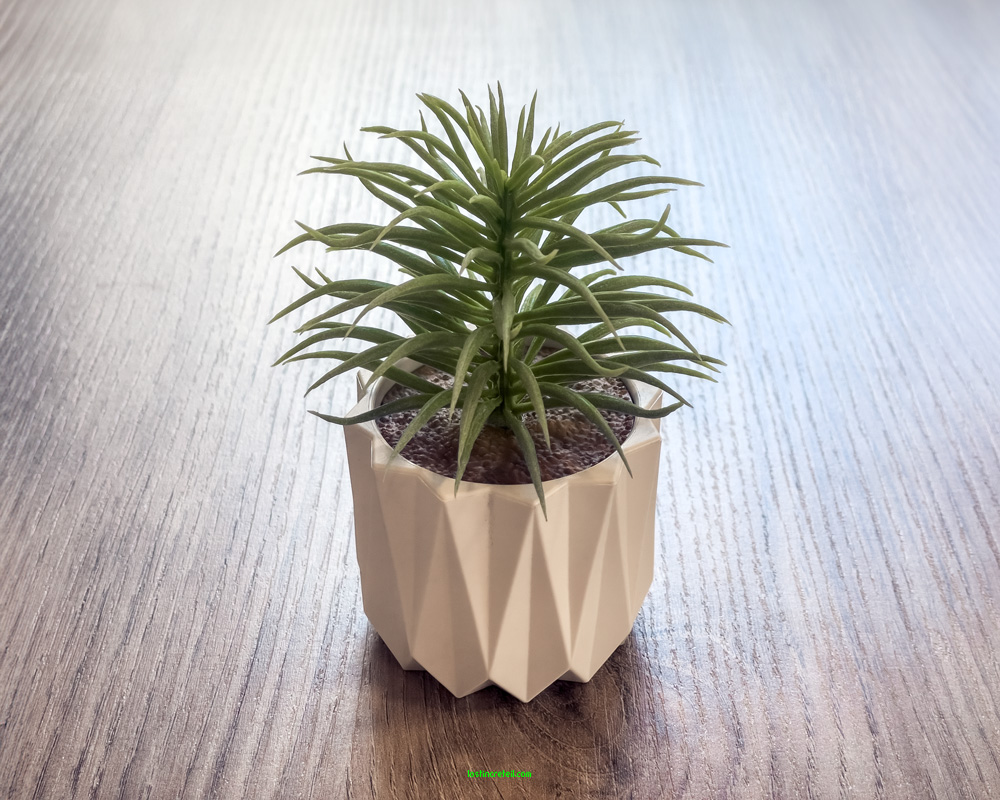 Coffe shop flora