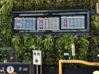 Aeropuerto Internacional MatecaÃ±a, Pereira, Colombia
